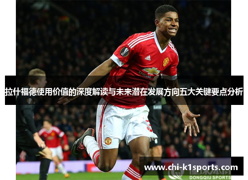 拉什福德使用价值的深度解读与未来潜在发展方向五大关键要点分析
