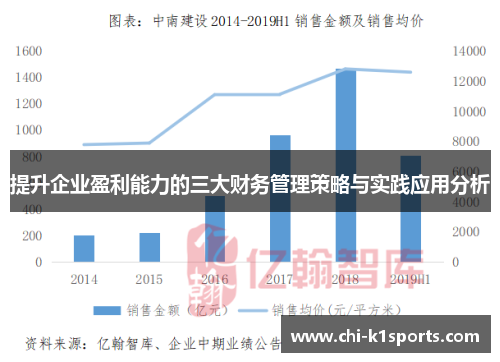 提升企业盈利能力的三大财务管理策略与实践应用分析