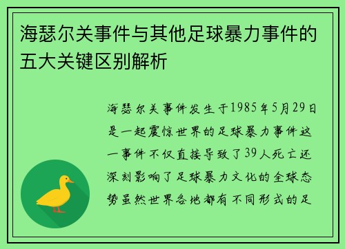海瑟尔关事件与其他足球暴力事件的五大关键区别解析