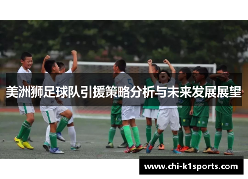 美洲狮足球队引援策略分析与未来发展展望